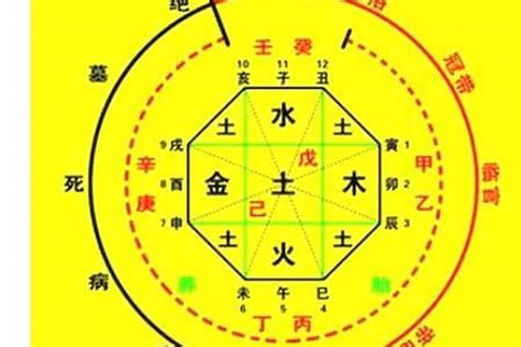 八字五行查詢|生辰八字算命、五行喜用神查詢（免費測算）